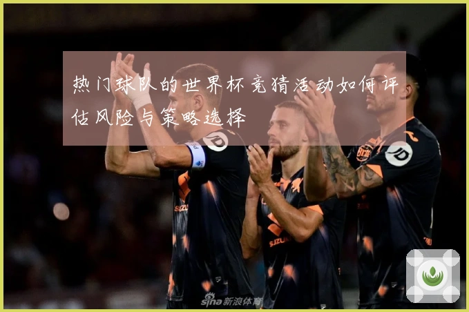 热门球队的世界杯竞猜活动如何评估风险与策略选择