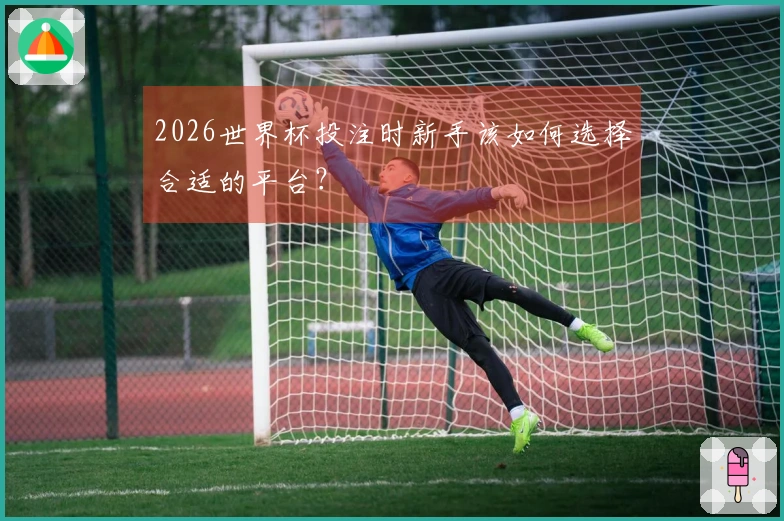 2026世界杯投注时新手该如何选择合适的平台？