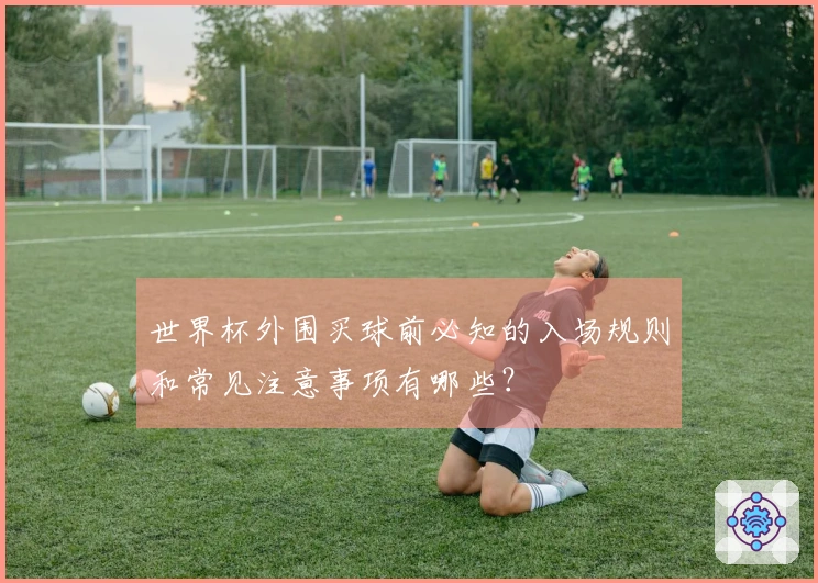 世界杯外围买球前必知的入场规则和常见注意事项有哪些？