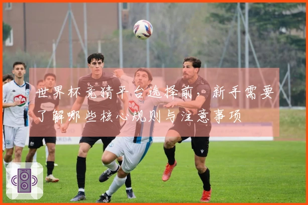 世界杯竞猜平台选择前，新手需要了解哪些核心规则与注意事项