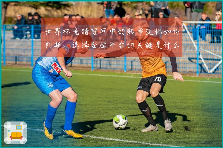 世界杯竞猜官网中的赔率变化如何判断，选择合适平台的关键是什么？